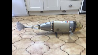 Robot Fish 17 years old
