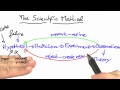 Bugs as Natural Phenomena - Software Debugging