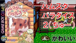 🐹初 GAME VLOG  「ハムスターパラダイス２ちゅー（ゲームボーイカラー専用）」 hamster paradise 2 ( Game Boy color )