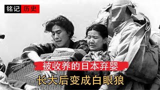 遗留在中国的日本弃婴，被农村夫妇收养，长大后变成白眼狼