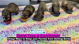 Ferret Toys \u0026 Enrichment: Cheap Ways to Keep your Ferrets from Getting Bored