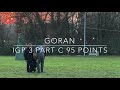 goran igp 3 protection