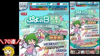 【ぷよクエ実況】チャーミードラコが可愛い！持ち石で70連した結果！？