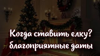 Когда ставить новогоднюю елку, чтобы круглый год была удача и достаток благоприятные даты