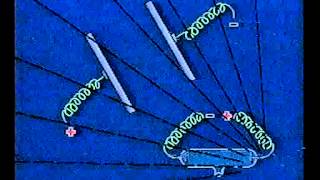 Nuclear Physics 1 The Discovery of Radioactivity