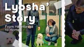🐶💔 From Abandoned to Adored: Lyosha’s Second Chance 🏡❤️