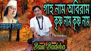 গাহ নাম অবিরাম কৃষ্ণ নাম কৃষ্ণ নাম|| Gaho name abiram krisno name ||Nazrul geeti|| @baulbadsha