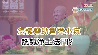 怎樣幫助智障小孩認識淨土法門？【大安法師開示】