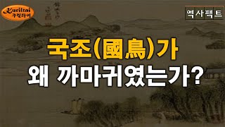 역사팩트 - 나라의 상징 새가 왜  까마귀인가?