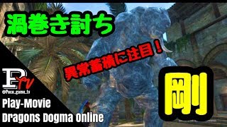 【DDON】EXスキル渦巻き討ち･剛 異常蓄積に注目して試してみた