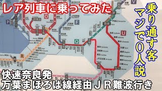 【レア列車に乗ってみた】快速奈良発万葉まほろば線経由JR難波行き【乗り通す客マジで0人説】