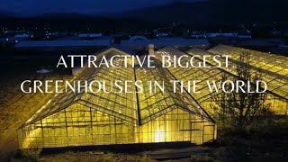 Most Attractive Biggest Greenhouses In the World | Greenhouse Farming Technology | Greenhouse Farm