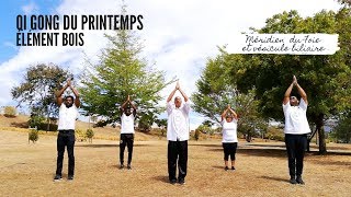 Qi Gong pour le Printemps - Elément BOIS - Renforce le  Foie et la Vésicule Biliaire