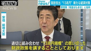 事業規模26兆円　大型経済対策を閣議決定へ(19/12/05)