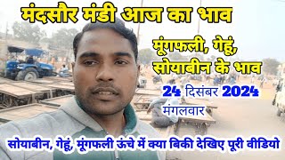 24 दिसंबर मंदसौर मंडी सोयाबीन, गेहूं, मूंगफली का भाव। Mandsaur mandi bhav