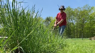 Weed whacking over grown grass around our main fire circle. #20