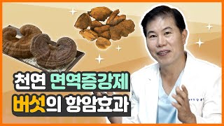 버섯의 항암효과, 베타글루칸을 아시나요?