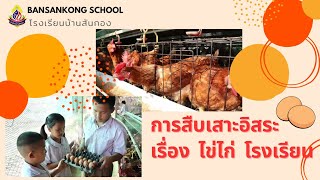 การสืบเสาะอิสระ เรื่องไข่ไก่โรงเรียน โรงเรียนบ้านสันกอง สพป.ชร.3