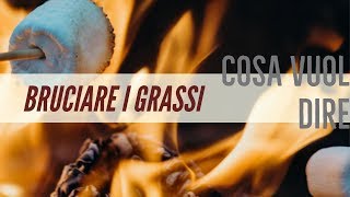 BRUCIARE I GRASSI - Cosa vuol dire?