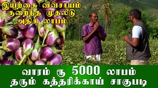 வாரம் 5000 ரூபாய் லாபம் அசத்தும் கத்தரிக்காய் சாகுபடி / Organic Vivasayi /குறைந்த இடம் அதிக வருமானம்