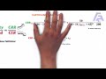 assessment of liquefaction factor of safety in one minute