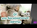 Трогательное признание в любви До слез