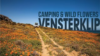 Camping at Vensterklip and Chasing Wild Flowers