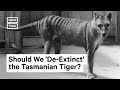 Researchers Work to 'De-Extinct' Tasmanian Tiger