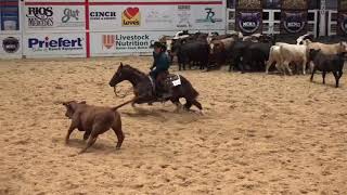 Sanctus  NCHA 9 Time Champion Cutting Horse. Standing 2021!!