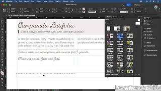 📄 Overriding Parent Page Items in Adobe InDesign 2024 | Essential Training