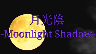 【バンギャが】月光陰 -Moonlight Shadow-【歌ってみた】