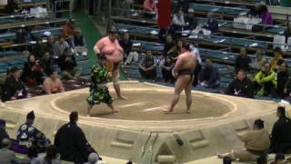 彩-徳真鵬/2017.3.14(21)/irodori-tokushinho/day3 #sumo