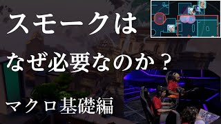 【VALORANT解説】スモークはなぜ必要なのか？スモークキャラは必要なのか？マクロ基礎編 #ヴァロラント #vct #vcj　#valorant #valo　#valorant立ち回り