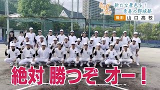 2024　高校野球山口大会　チーム紹介　＃山口