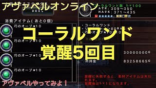 【アヴァベル】コーラルワンド覚醒5回目