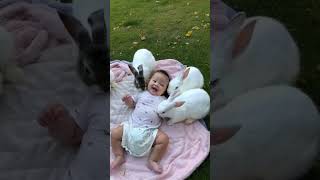 Fluffy #Rabbits and #Cute #Baby