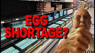 My SEARCH FOR DECENT EGGS during this contrived SHORTAGE