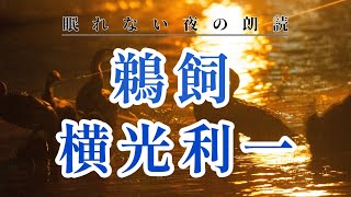 「鵜飼」横光利一【随筆の朗読】原文字幕あり：睡眠導入やリラックス、作業BGMや読書に