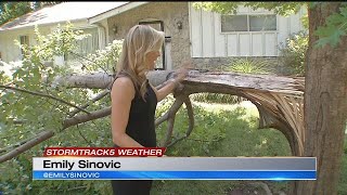 Avoid storm damage cleanup scams with these helpful tips