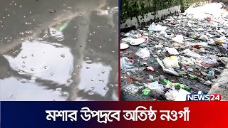 নানা রোগে আক্রান্ত হওয়ার ঝুঁকিতে নওগাঁ পৌরবাসী | Mosquito In Naogaon | Dengue In BD | News24