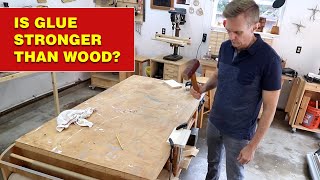 Is wood glue stronger than wood? #shorts