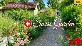 Walking along in Swiss Garden ! Swiss Gardeners World ! Summer in Switzerland 4K