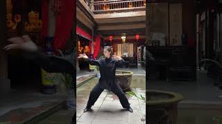 Tai Chi |太极之道，刚柔并济，以柔克刚，独具匠心 #taichi #kungfu #taichiquan  #功夫 #太极  #太极拳 #太极教学 #taichitutorial #marti