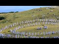 Паневритмия 12.08.2017г. Рила