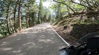 NSANE MOUNTAIN FOREST RIDING! 😱🏍️ This Got WAY Too Sketchy!