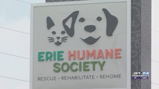 Former Erie Humane Society executive director charged for alleged theft, fraud, record tampering