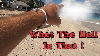 Majestic Elegance Punta Cana Beach Walk-What The Hell Is That?!!!