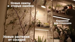 Новые растения и лампы. Исправляю ошибки