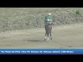 lrc live 24th day lahore winter meeting 2024 2025 fabruary 09 2025 horse race horserace