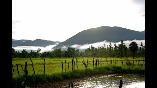 Camping outdoors at tmor kral Cambodia